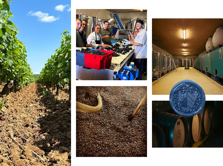 Le soin,  de la vigne à la bouteille