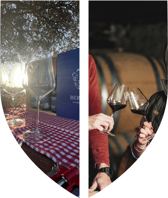 Visites et dégustations au caveau